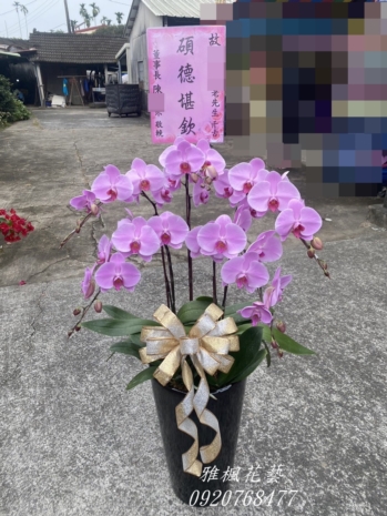 麥寮花店公祭蘭花盆栽追思