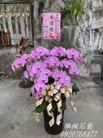 芬園花店公奠蘭花盆栽敬輓