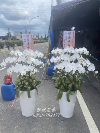 天梵追思會館彰化縣彰化市137縣道139號蘭花盆栽追思