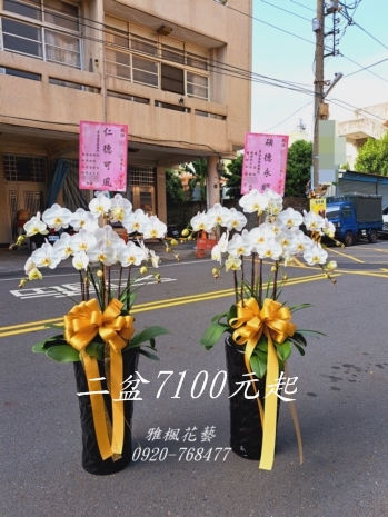 彰化二水崇德第三公墓蘭花盆栽、彰化二水崇德殯儀館