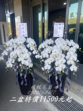 斗六市文殊寺追思蘭花盆栽外送