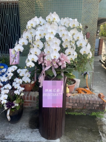 彰化殯儀館公祭蘭花盆栽
