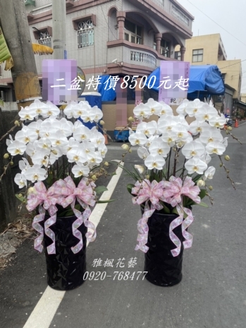 台中東海殯儀館喪事蘭花