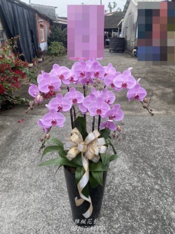 草屯殯儀館、南投縣草屯殯儀館